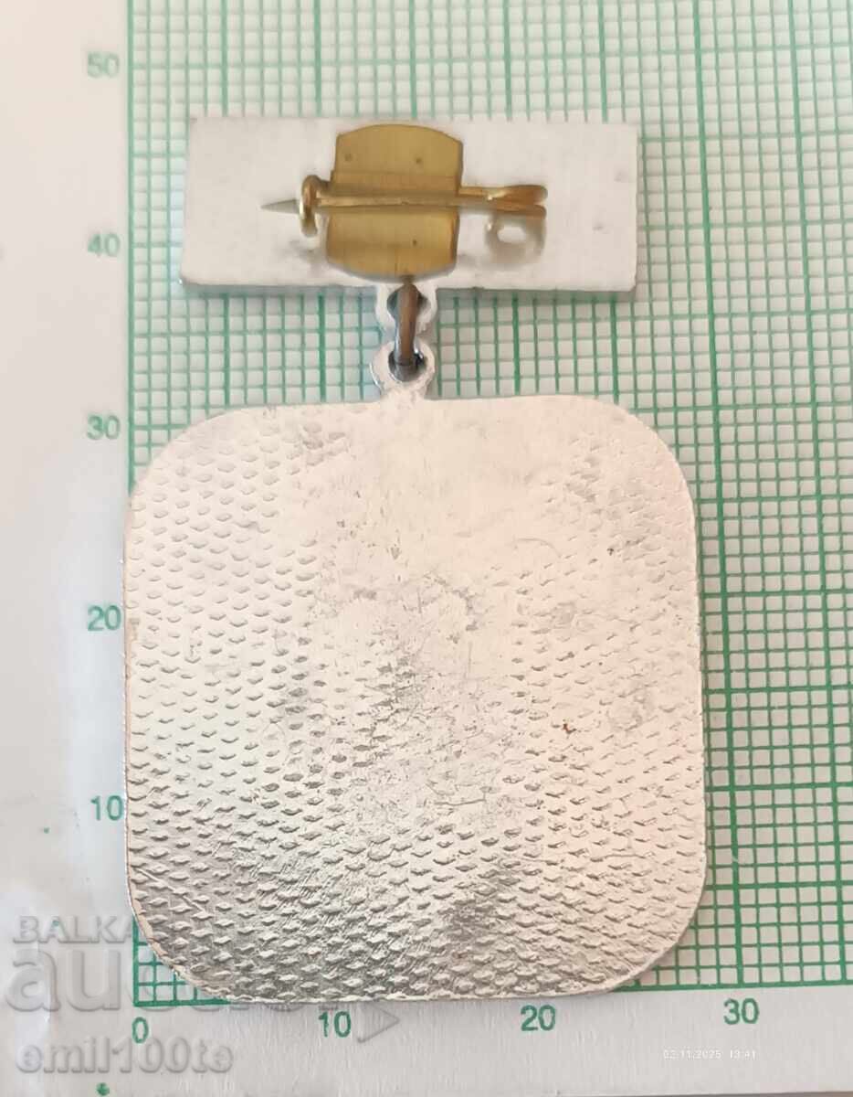 Delivery of Badge - Aurora Pazardzhik's Workers' Cross Volley