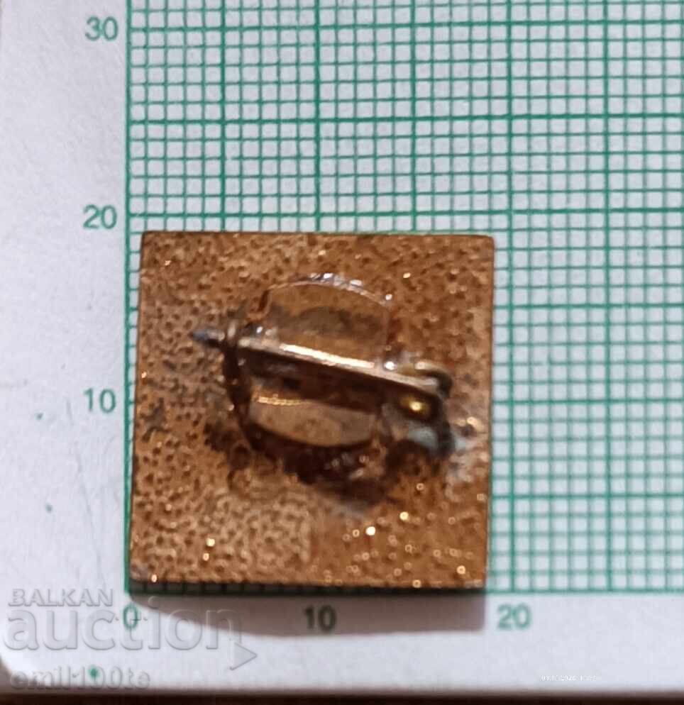 Delivery of Badge - 70 years City Party Organization Tolbukhin Delivery of Badge - 70 years City Party Organization Tolbukhin