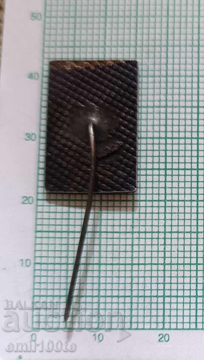 Delivery of Badge - 50 years of Svishtovsk commune Delivery of Badge - 50 years of Svishtovsk commune