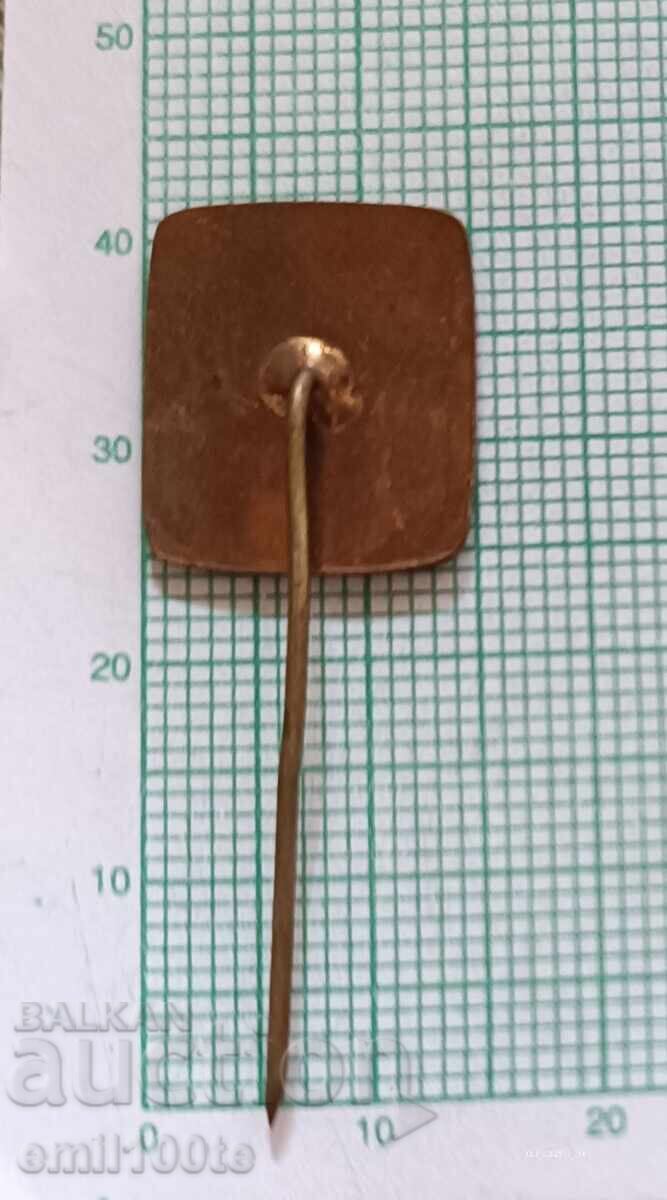 Delivery of Badge - 31st Congress of the Bulgarian Agrarian National Union Delivery of Badge - 31st Congress of the Bulgarian Agrarian National Union