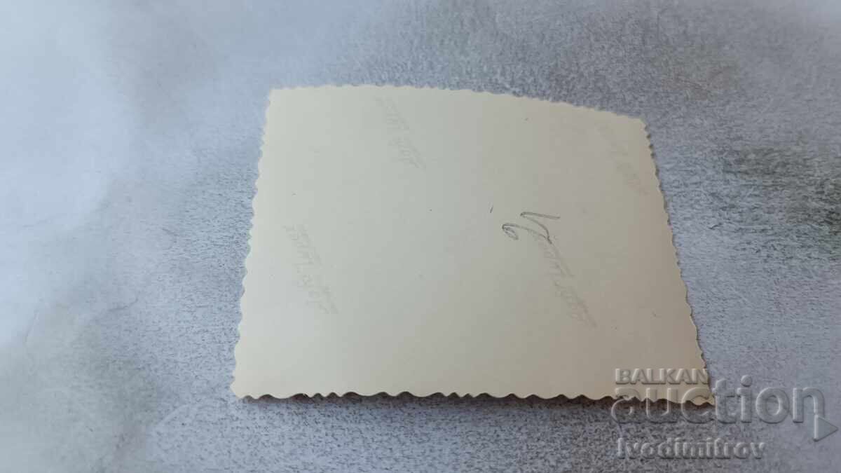 Φωτογραφία Πόλης Γέροβο, Μακεδονία με τιμή 6.45 BGN | € 3.30