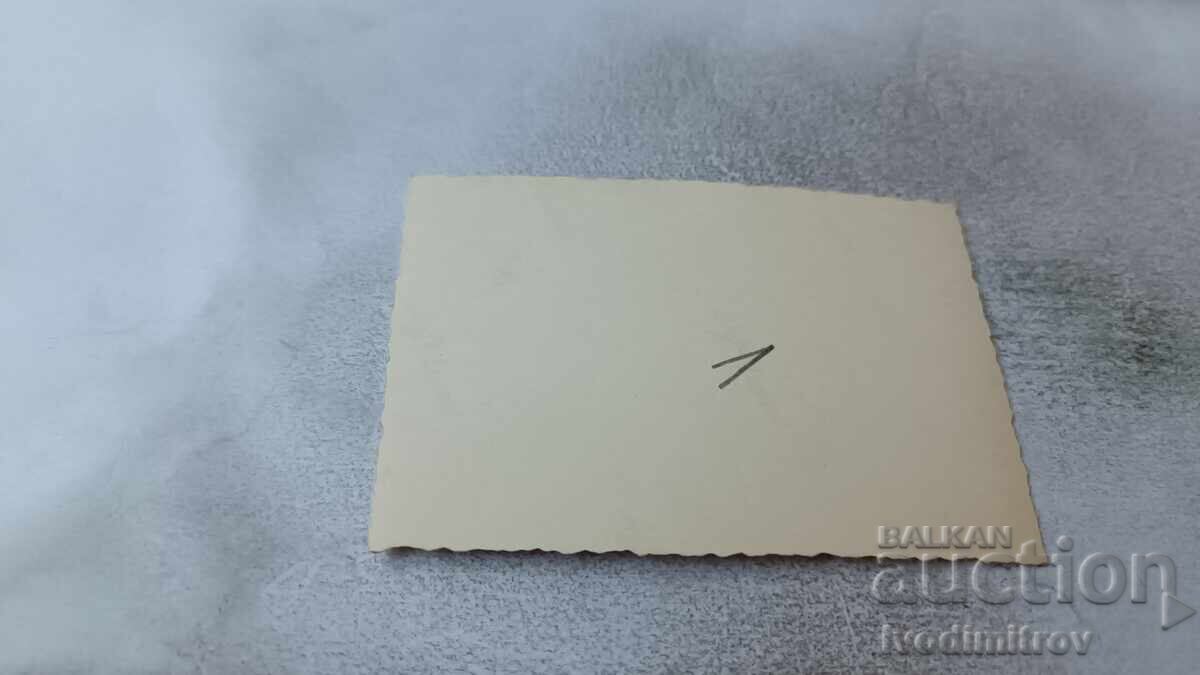 Fotografie Tineri și tinere cu costume de baie retro întinși lângă râu cu preț 1.85 BGN | € 0.95