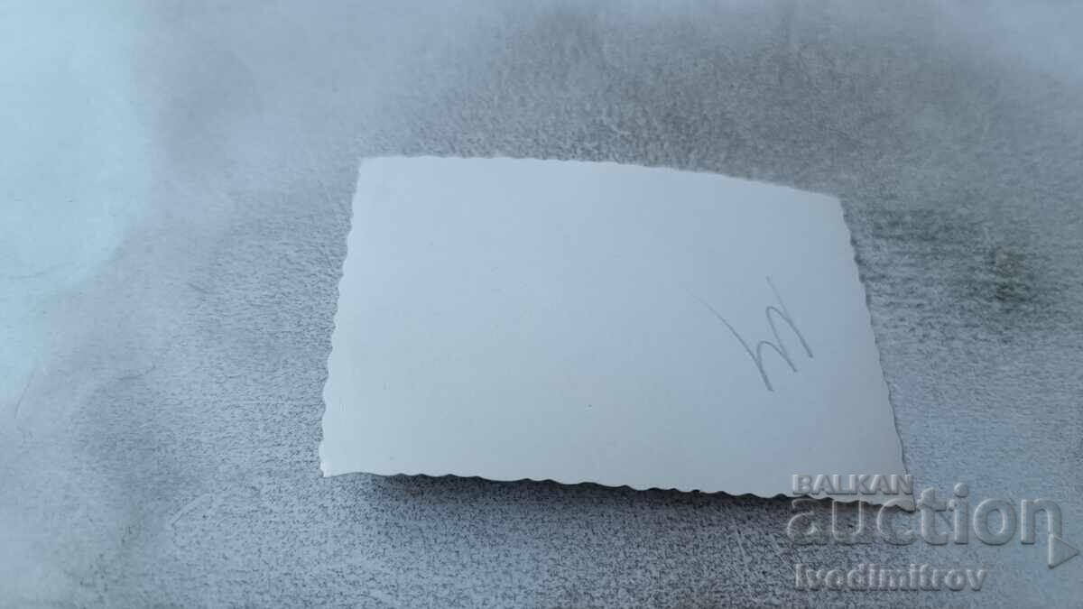 Φωτογραφία Νέας Γυναίκας Ξαπλωμένης σε Βράχο Δίπλα στη Θάλασσα με τιμή 1.65 BGN | € 0.84