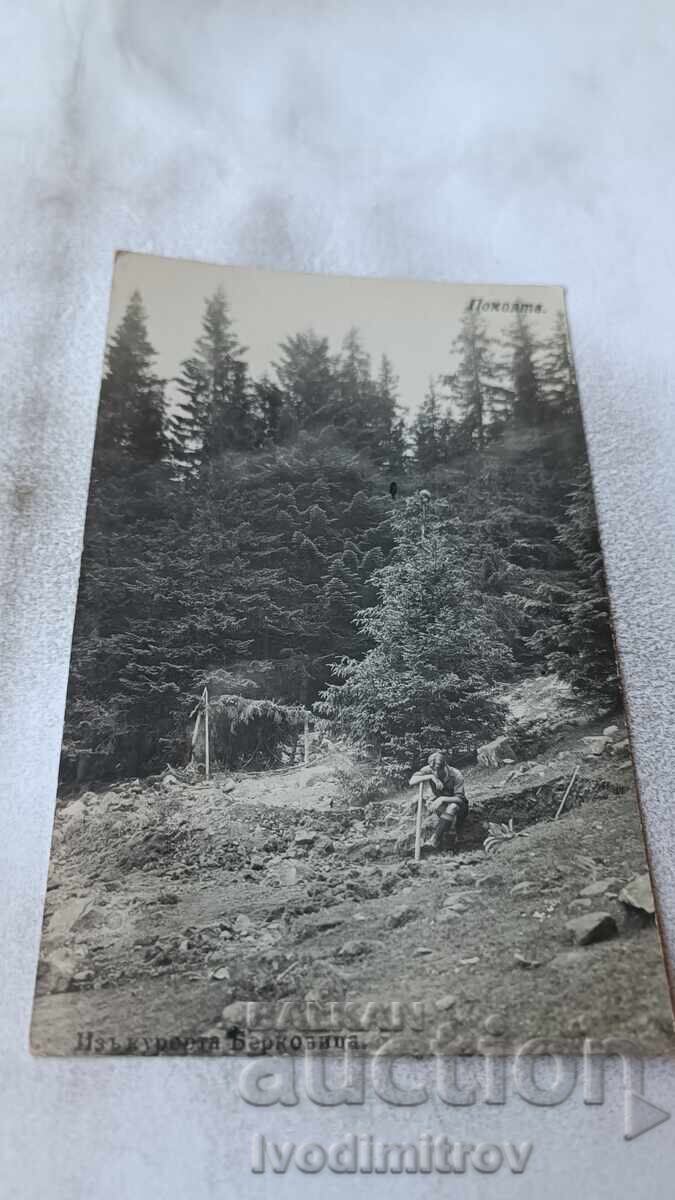 Пощенска картичка Изъ курорта Берковица Покоятъ Пощенска картичка Изъ курорта Берковица Покоятъ