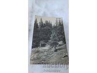 Ταχυδρομική κάρτα από το θέρετρο Μπερκόβιτσα Ηρεμία