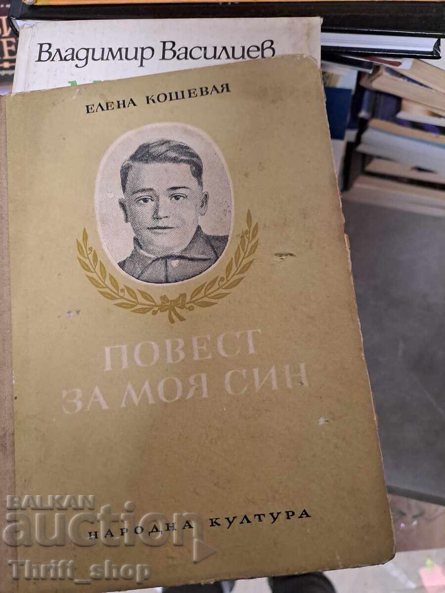 A Story for My Son by Elena Koshevaya A Story for My Son by Elena Koshevaya