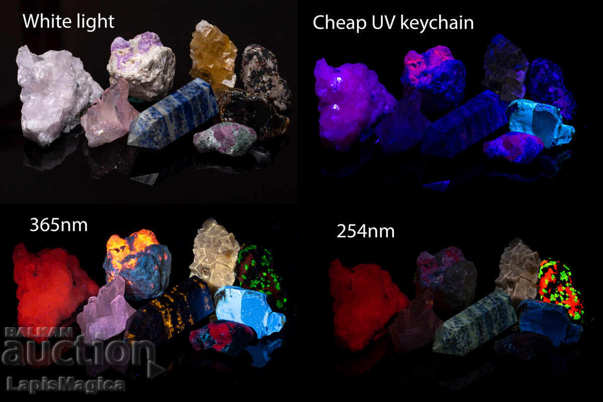 Licitație AloneFire SV004 - Lanterna UV 10W 365nm cu filtru ZWB2 Licitație AloneFire SV004 - Lanterna UV 10W 365nm cu filtru ZWB2