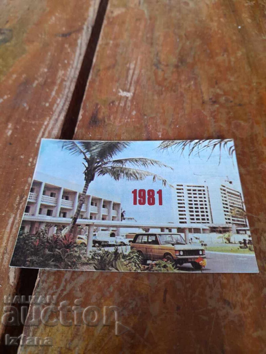 Bulgarproekt Calendar 1981