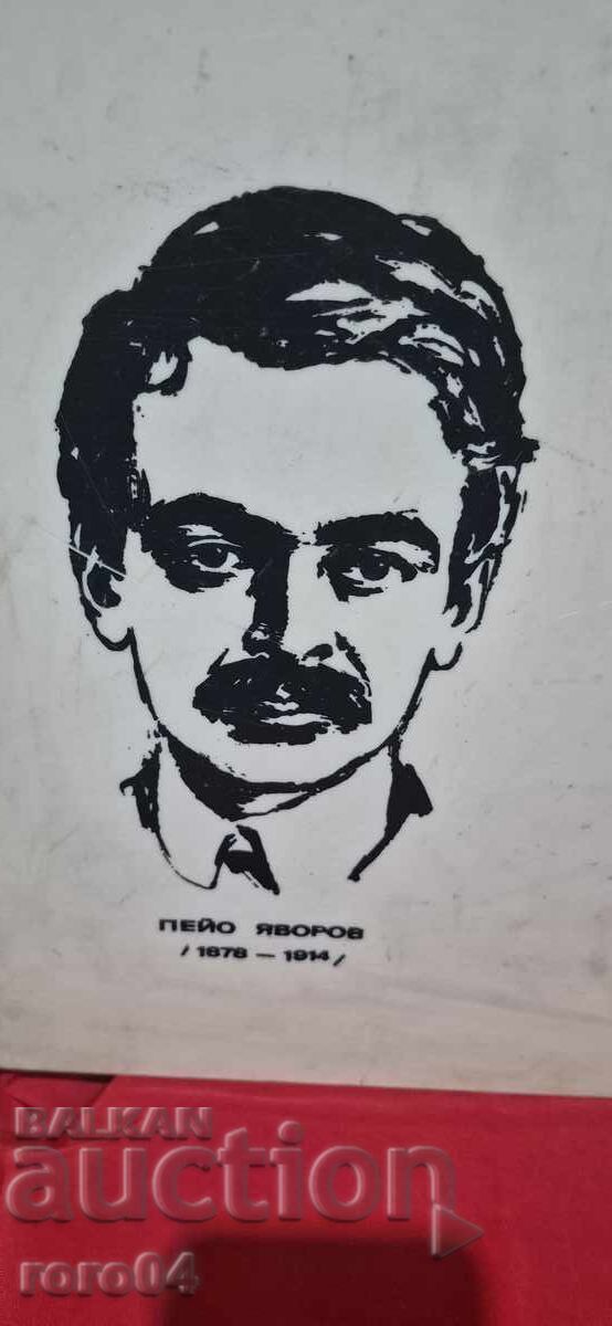 Licitație PANOU PVC SOCIAL - LOZINCĂ - AFIȘ - APEL Licitație PANOU PVC SOCIAL - LOZINCĂ - AFIȘ - APEL