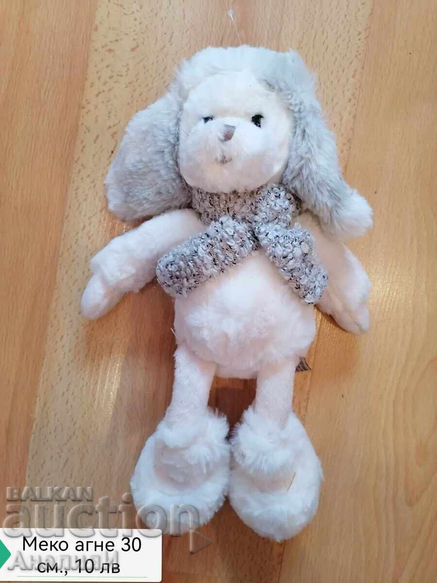 Auction Turtle 40 cm, 20 lv Auction Turtle 40 cm, 20 lv