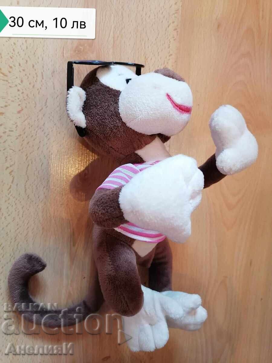 Delivery of Turtle 40 cm, 20 lv Delivery of Turtle 40 cm, 20 lv