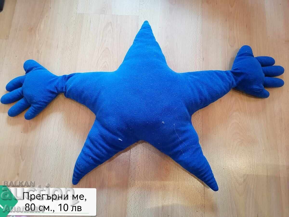 Turtle 40 cm, 20 lv - 6 Turtle 40 cm, 20 lv - 6