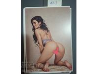 Postcard - Erotica - New