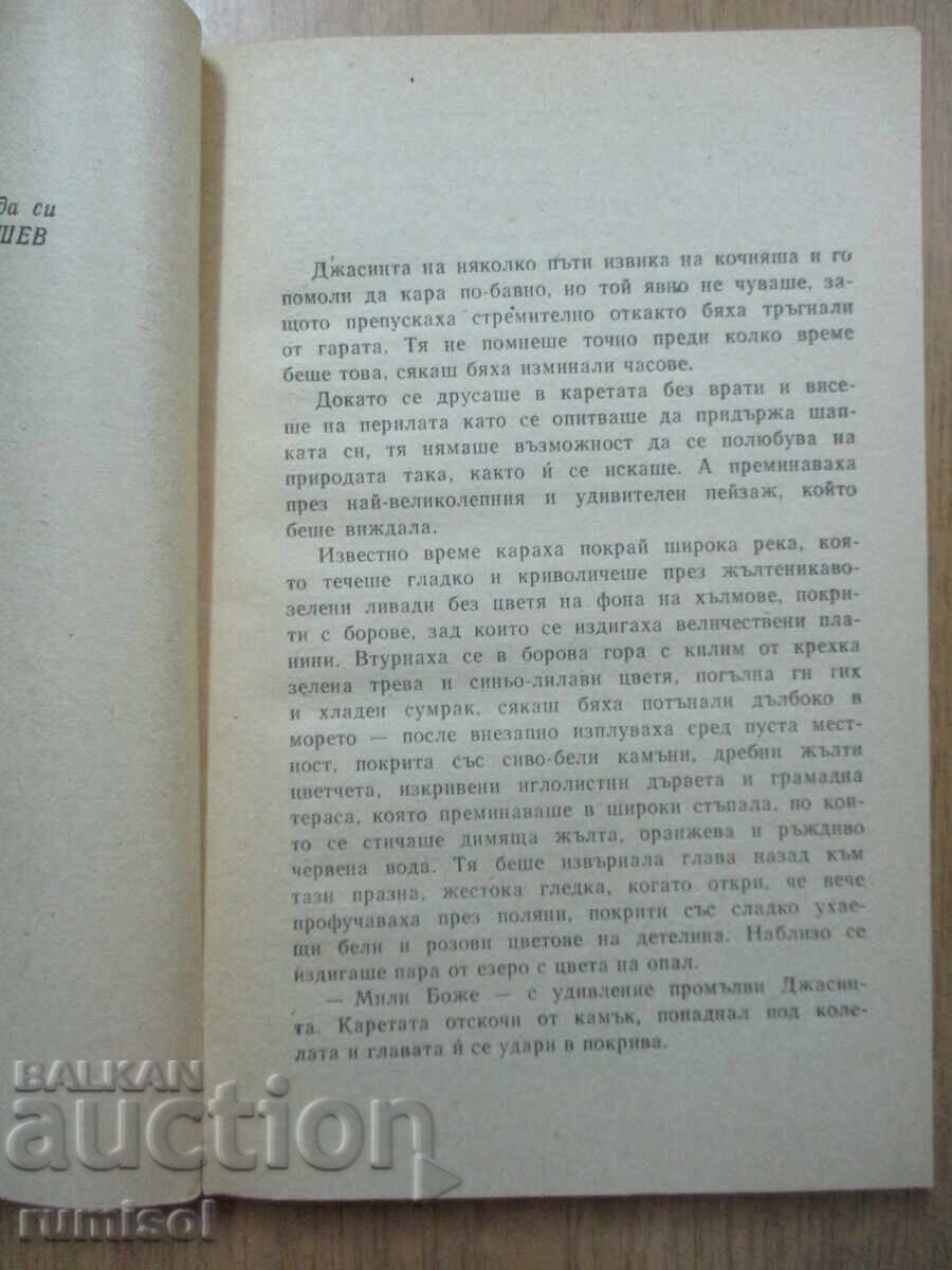 Licitație Jacinta - Kathleen Winsor