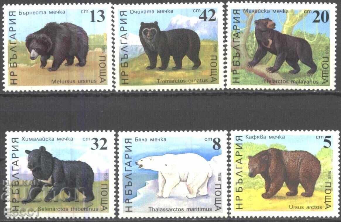 Clean Fauna Bear stamps 1988 from Bulgaria /c