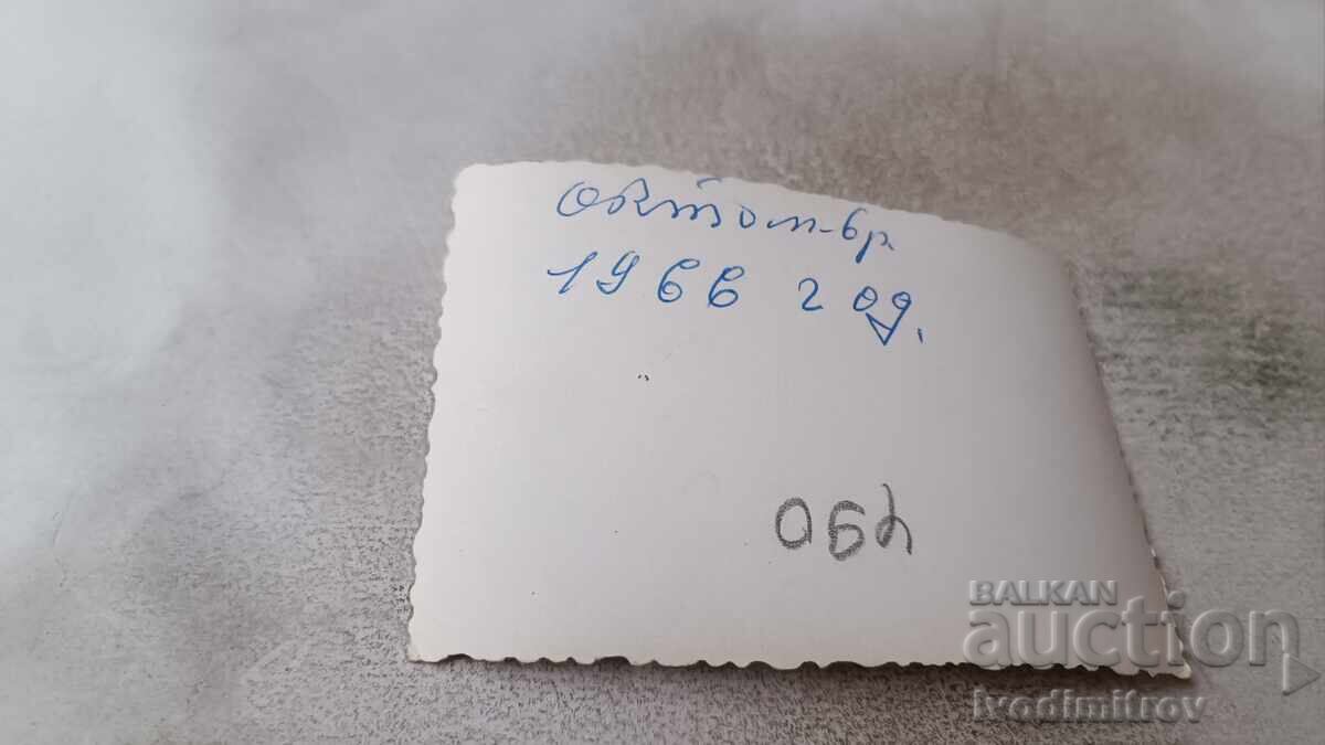 Photograph of Hunters in a Field of Sunflowers, 1966 with price 1.85 BGN | € 0.95 Photograph of Hunters in a Field of Sunflowers, 1966 with price 1.85 BGN | € 0.95