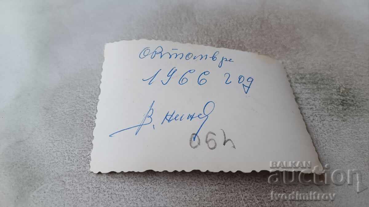 Φωτογραφία Κυνηγού σε χωράφι με ηλιοτρόπια 1966 με τιμή 1.85 BGN | € 0.95