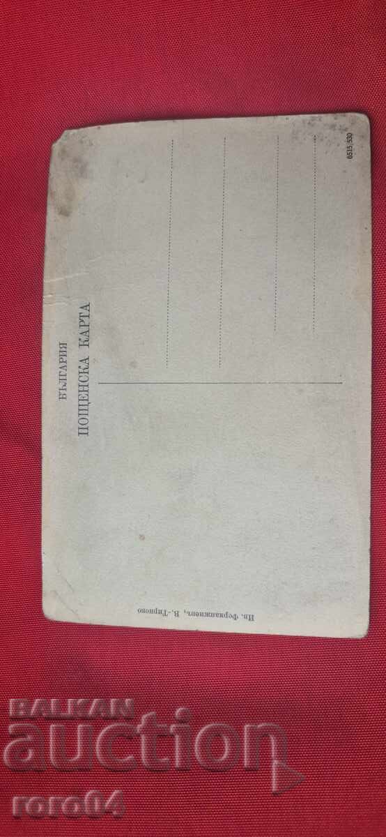 ΒΕΛΙΚΟ ΤΑΡΝΟΒΟ - 5 ΒΕΛΙΚΟ ΤΑΡΝΟΒΟ - 5