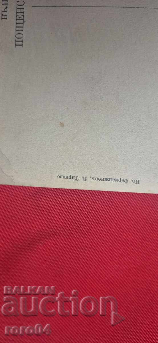 ΒΕΛΙΚΟ ΤΑΡΝΟΒΟ - 6 ΒΕΛΙΚΟ ΤΑΡΝΟΒΟ - 6