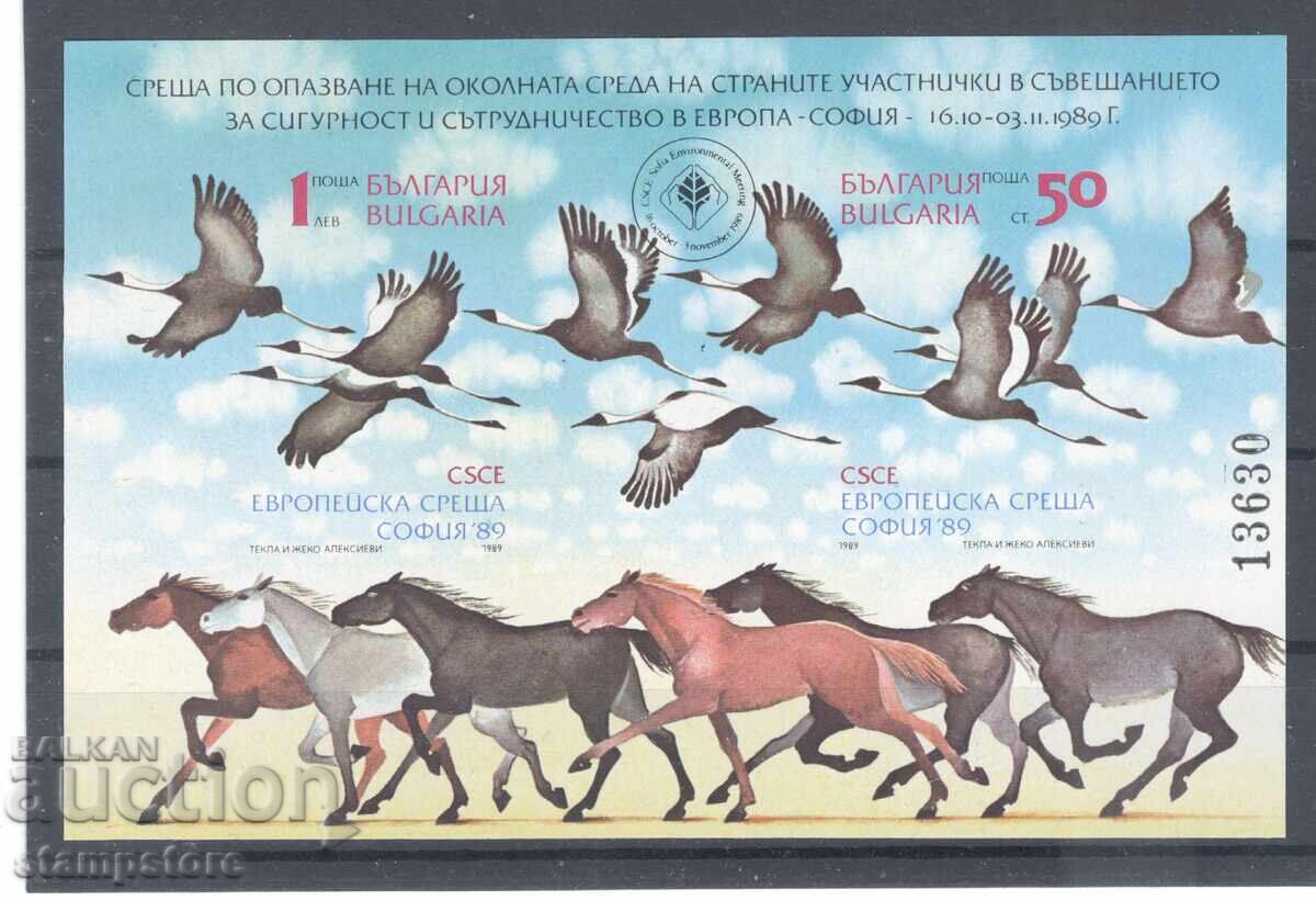 Meeting on environmental protection