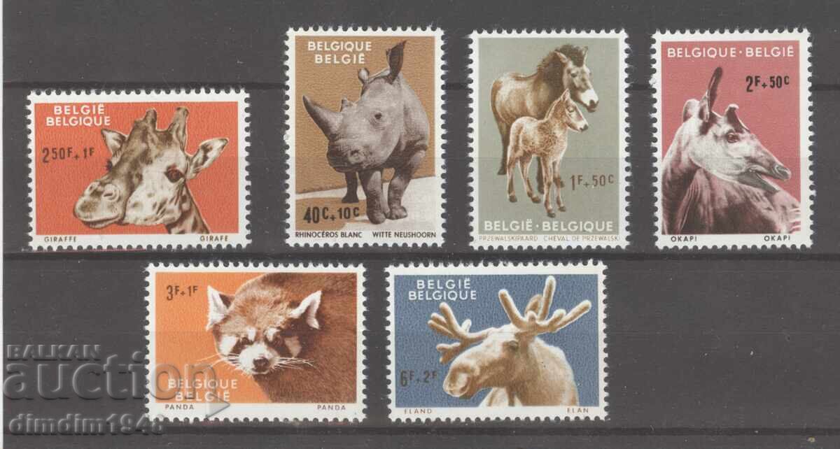 Βέλγιο - Πανίδα, πλήρης σειρά, καθαρή, με αυθεντική κόλλα