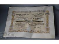 1924 Share of the Musala Textile Company 10,000 leva St. Badzhov
