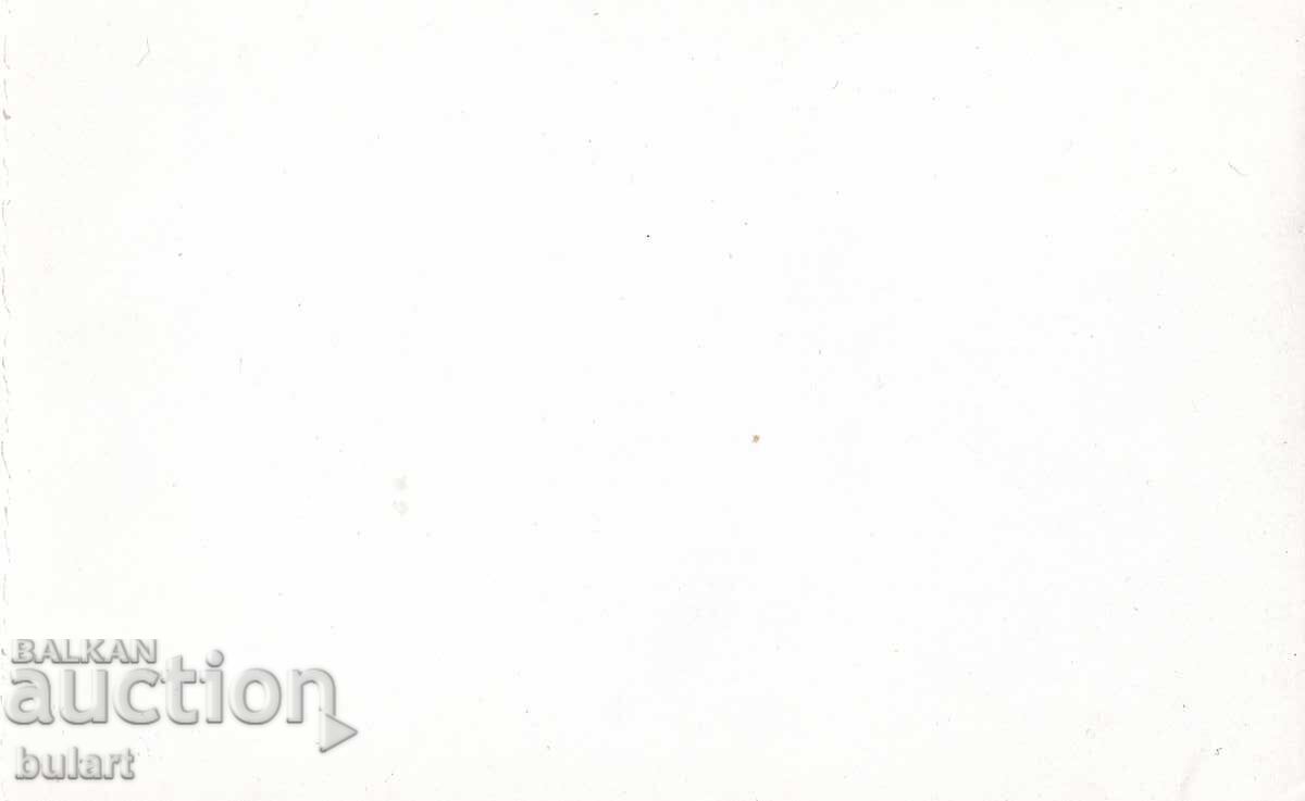 Felicitare poștală Felicitare de primăvară CP cu preț 10.00 BGN | € 5.11