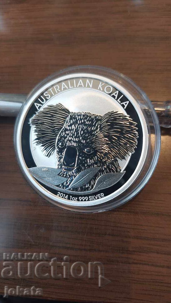 Uncie Koala Uncie Koala