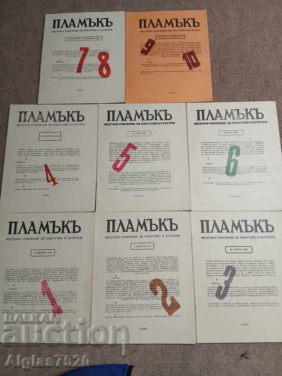 8 pcs. "Plamuk" Magazine