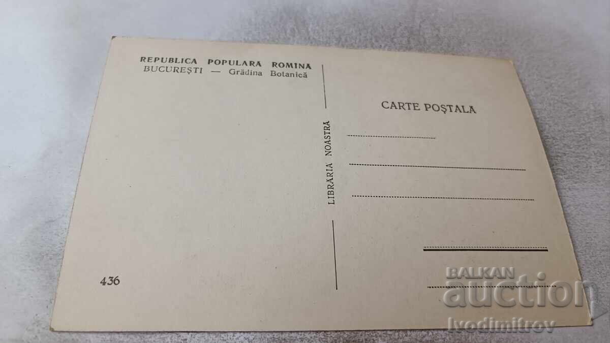 Ταχυδρομική κάρτα Βουκουρέστι Βοτανικός Κήπος με τιμή 1.45 BGN | € 0.74 Ταχυδρομική κάρτα Βουκουρέστι Βοτανικός Κήπος με τιμή 1.45 BGN | € 0.74