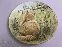 Royal Worcester Πιάτο Συλλογής