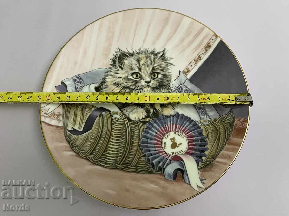 Royal Worcester Plate for Collection - 6 Royal Worcester Plate for Collection - 6