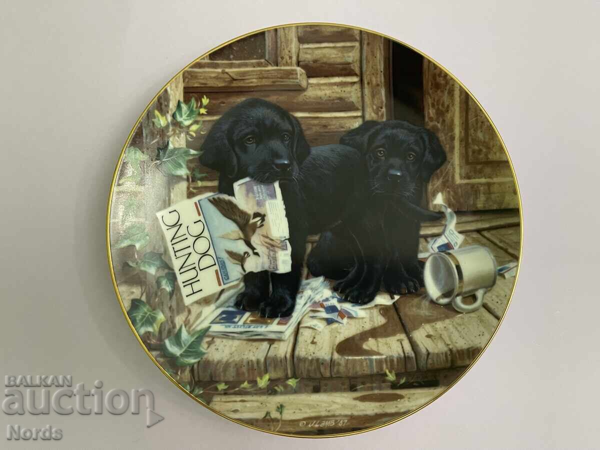 Ώρα για παιχνίδι με κουτάβια. Chiniya za kolektsiya με τιμή 6.50 BGN | € 3.32