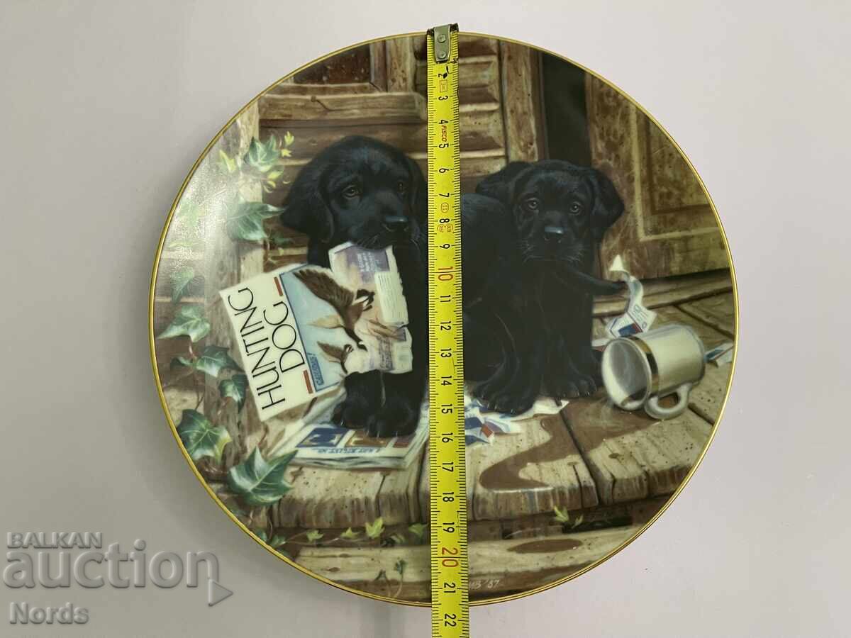 Ώρα για παιχνίδι με κουτάβια. Chiniya za kolektsiya - 5