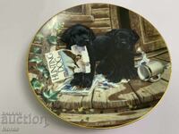 Ώρα για παιχνίδι με κουτάβια. Chiniya za kolektsiya