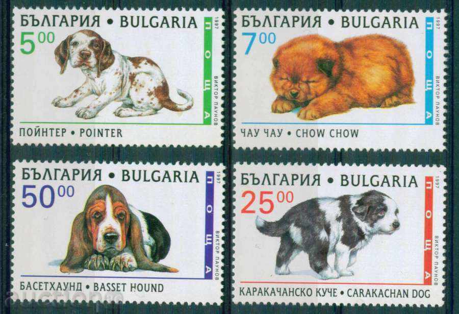 4275 Bulgaria 1997 - Puppy puppies **