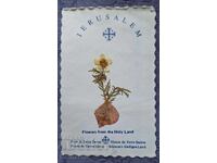 Carte poștală de la Mormântul Sfânt cu floare herborizată