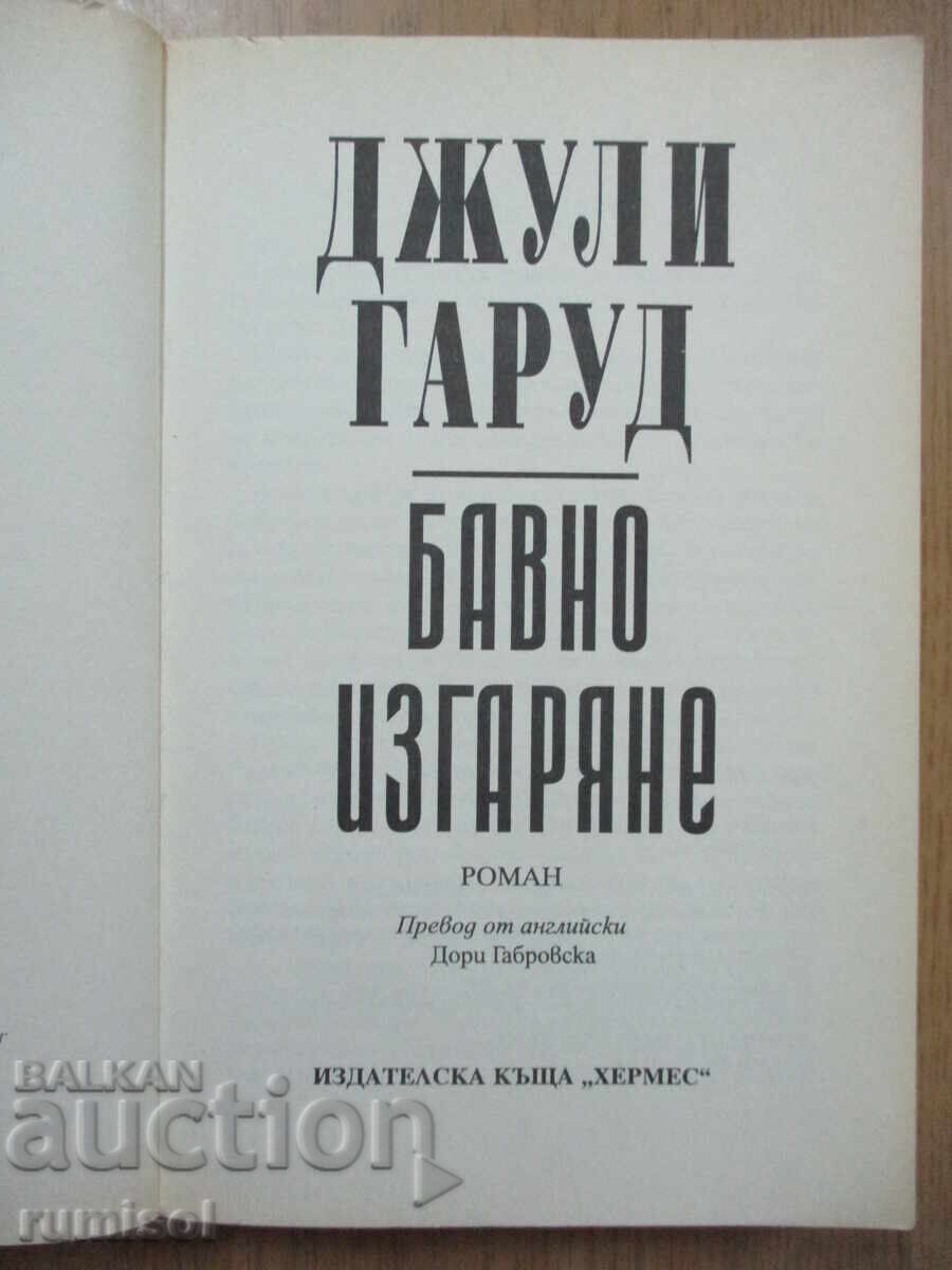 Auction  Slow Burn - Julie Garwood