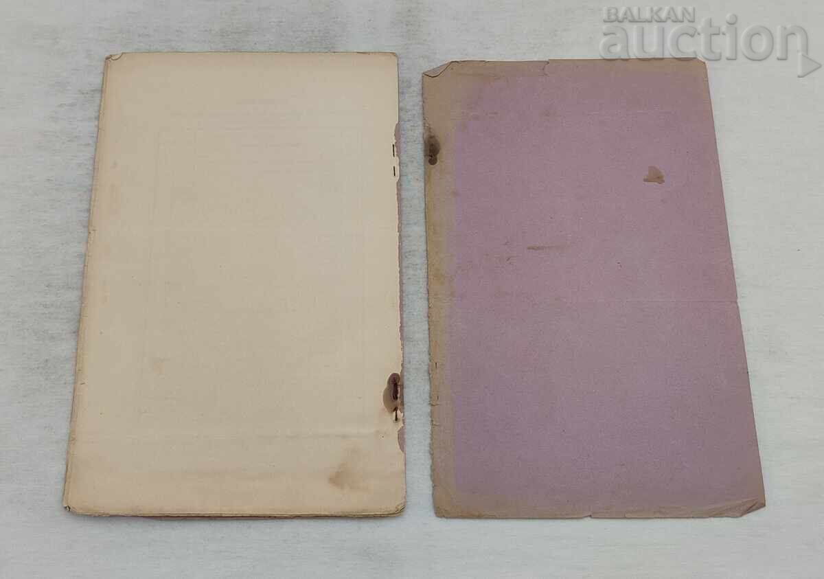 Delivery of FIGHT AGAINST THE PLAGUE MEASURES SOFIA 1900