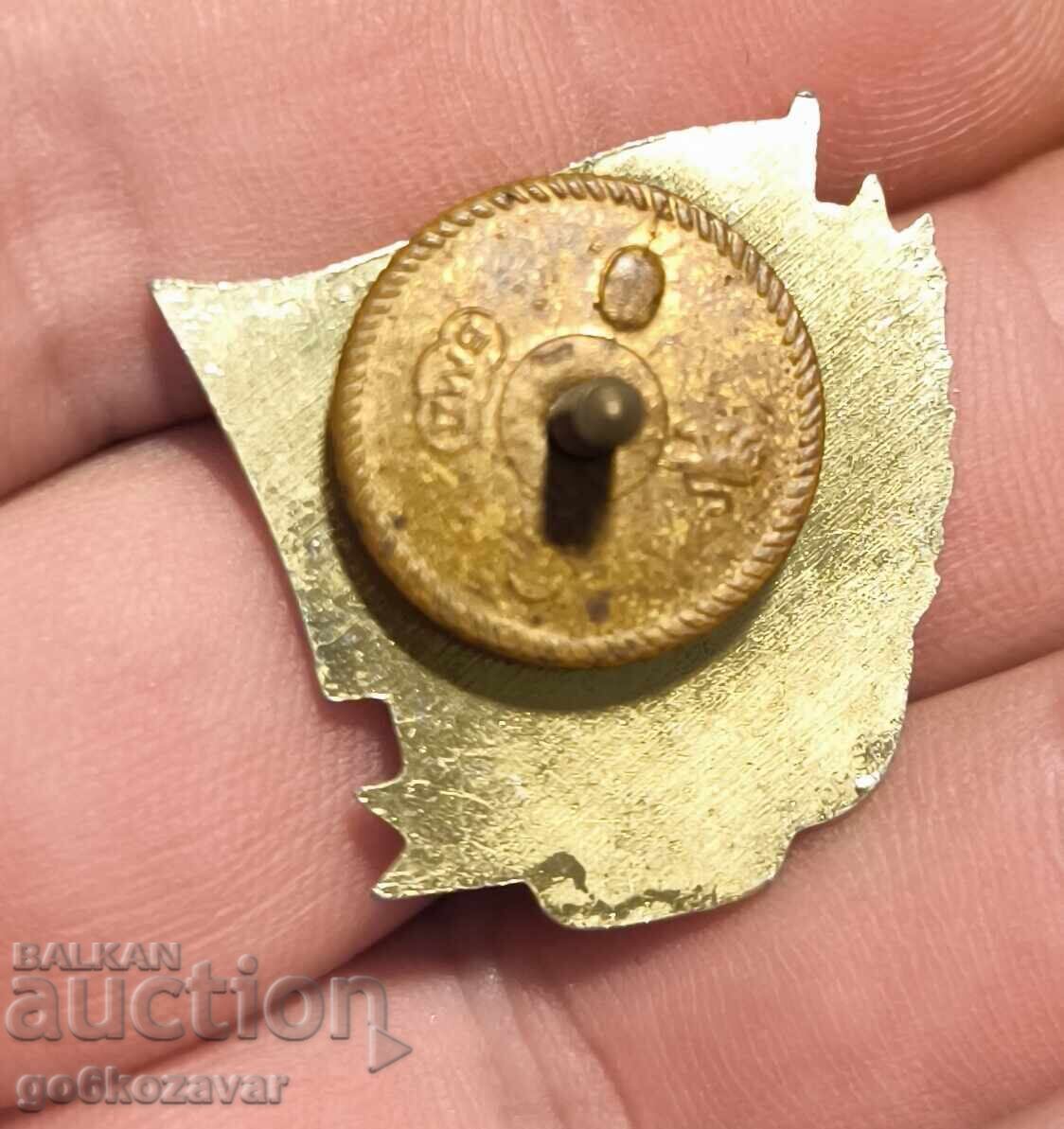 Значка знак отличен строител МНО строителни войски с цена 4.90 лв. | € 2.51