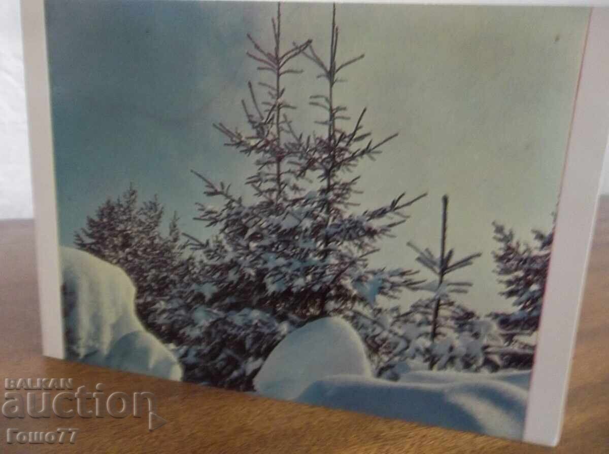 Κάρτα με τιμή 1.00 BGN | € 0.51