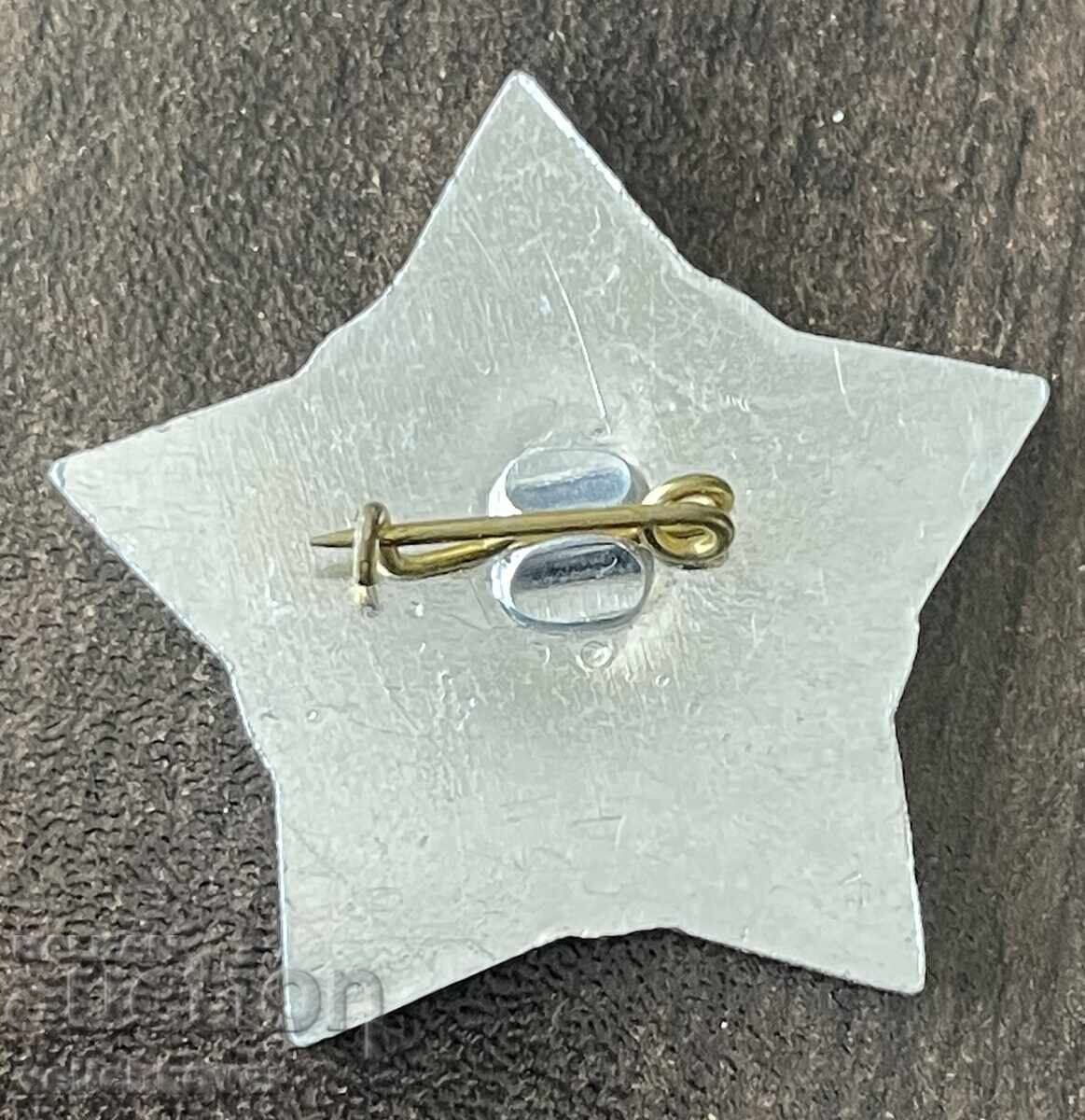 42076 Bulgaria Military Badge 25 Years Air Defense 1963 with price 20.00 BGN | € 10.23 42076 Bulgaria Military Badge 25 Years Air Defense 1963 with price 20.00 BGN | € 10.23