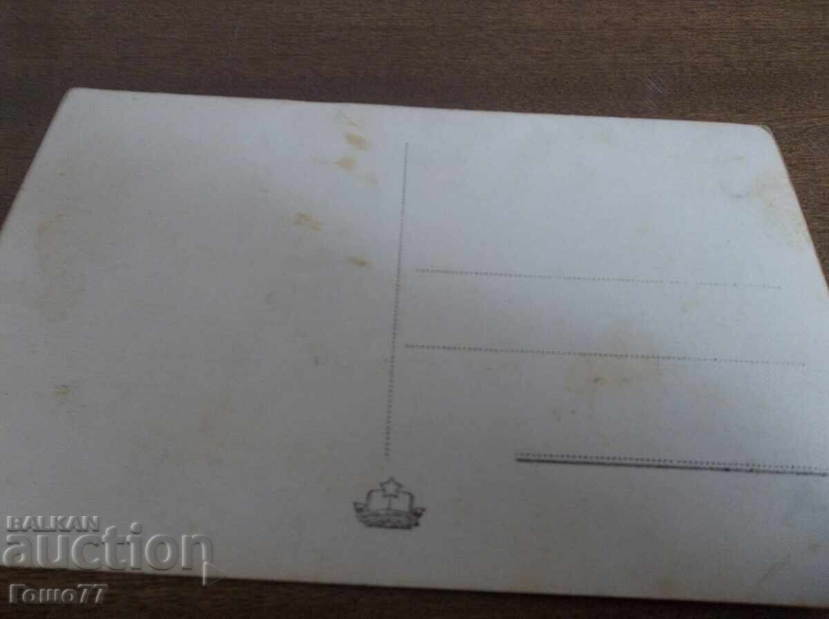 Licitație Card Licitație Card