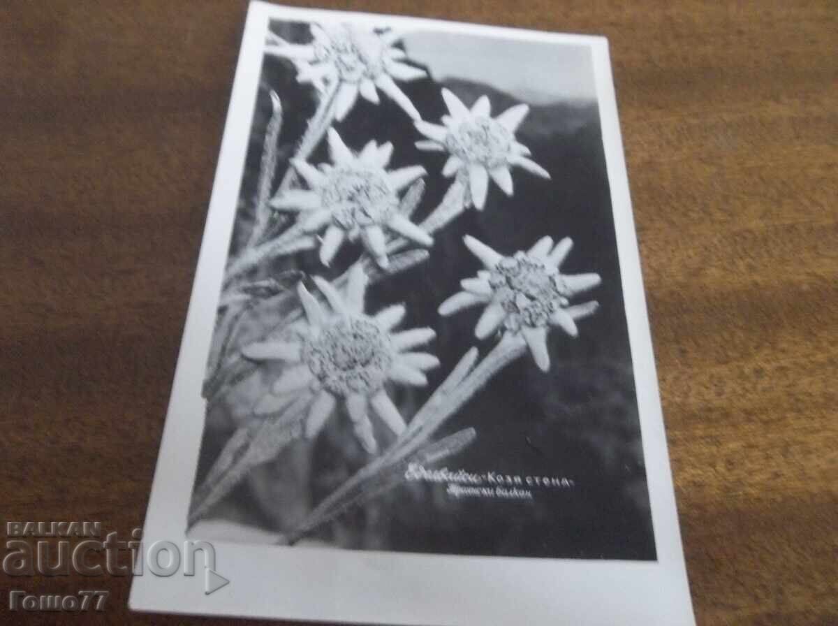 Κάρτα Κάρτα