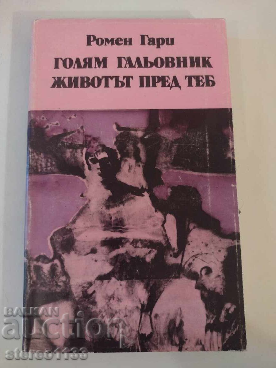 Η ζωή είναι ένας μεγάλος γατούλης