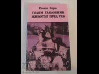 Η ζωή είναι ένας μεγάλος γατούλης