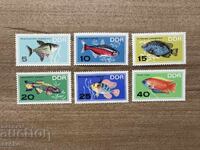 GDR - Ψάρια ενυδρείου (1966) MNH