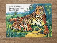 Ρωσία - Προστασία της φύσης - Τίγρης (1992) MNH