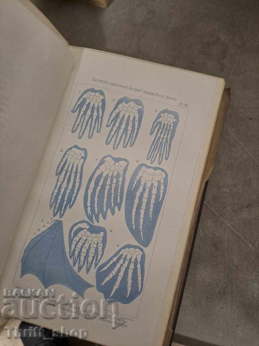 Аукцион Historie de la creation Аукцион Historie de la creation