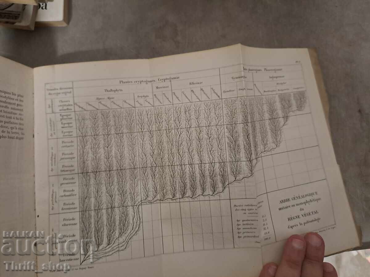 Доставка на Historie de la creation Доставка на Historie de la creation